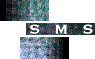 SMS Logo